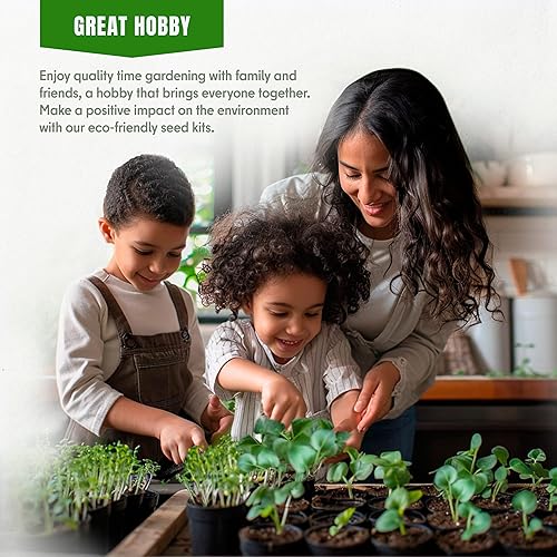 Miniatura 5 de Semillas de romero  Más de 100 personas sin OMG herencia cultivadas en Estados Unidos  Hierba culinaria aromática y hoja perenne fragante, apta para