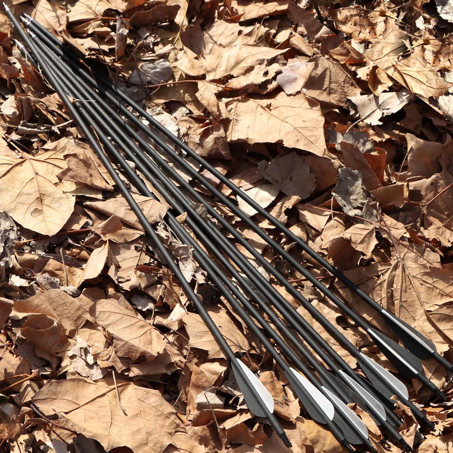 S F Frecce in Carbonio per Esercitazione da Caccia Spine 500 per Arco Composto e ricurvo (Confezione da 12)