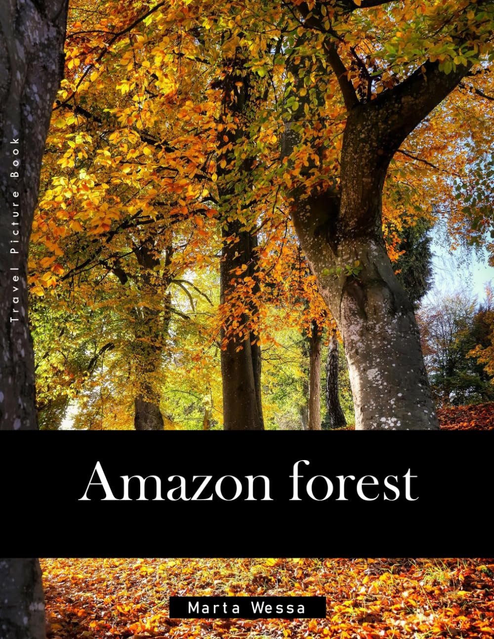 Amazon forest: A Perfect Coffee Table Picture Book - Travel and Tourism lovers Gift