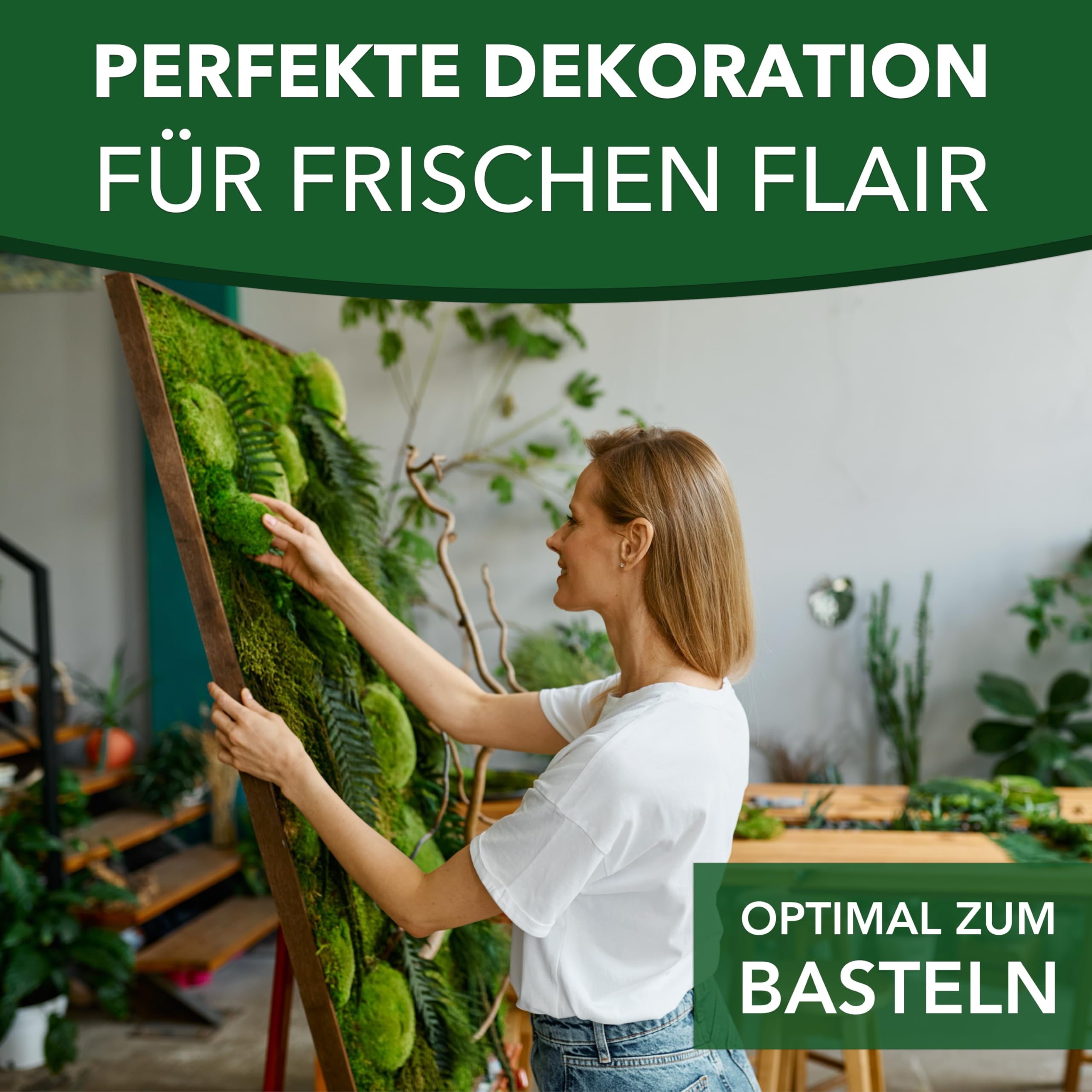 Sphagnum-Shop Plattenmoos konserviert Dekomoos Premium Qualität Grün 750g | Moos für Moosbilder, Moos Deko, DIY Moosmatten oder Moos zum basteln