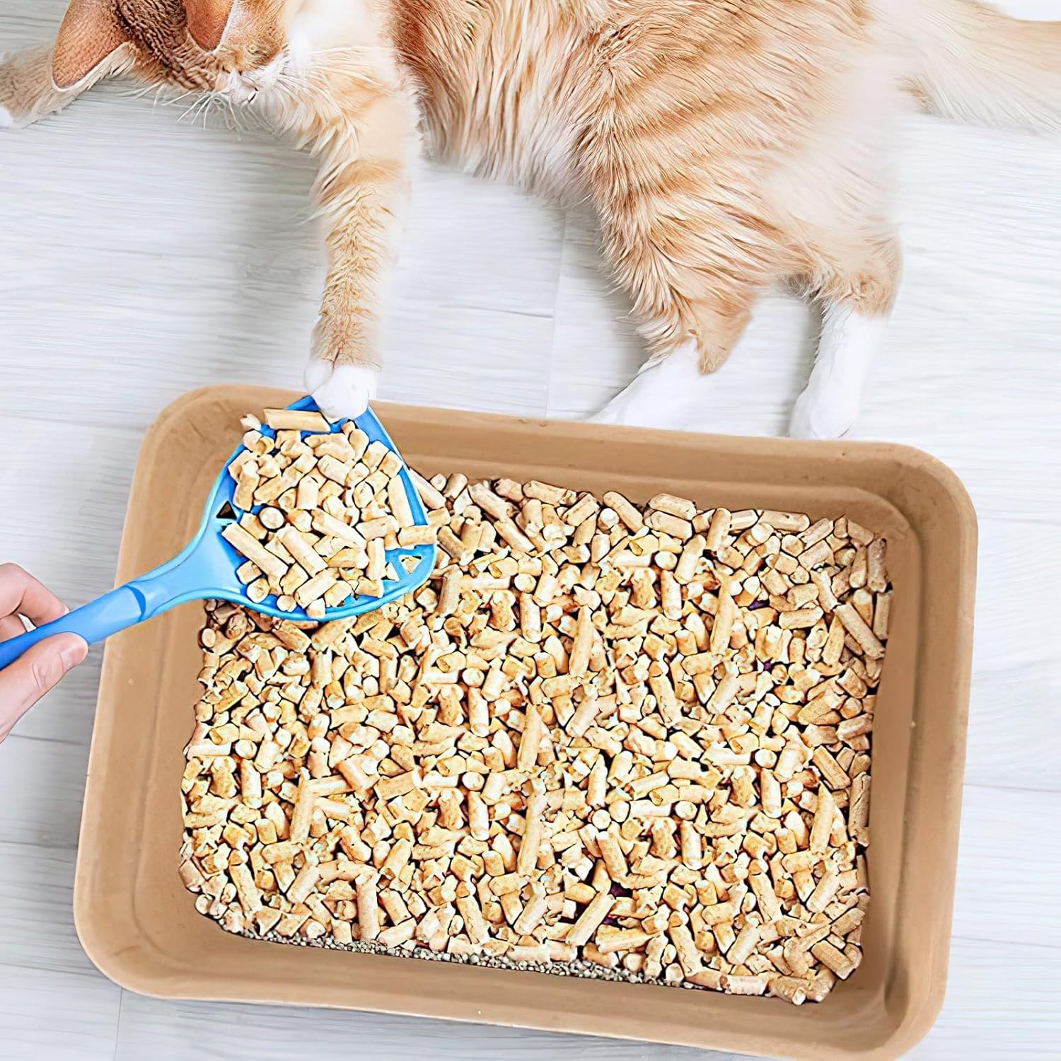 Lot de 8 bacs à litière jetables en papier pour chat, hamster, cochon d'Inde, souris, petits animaux - 42,5 x 32,5 x 10,5 cm