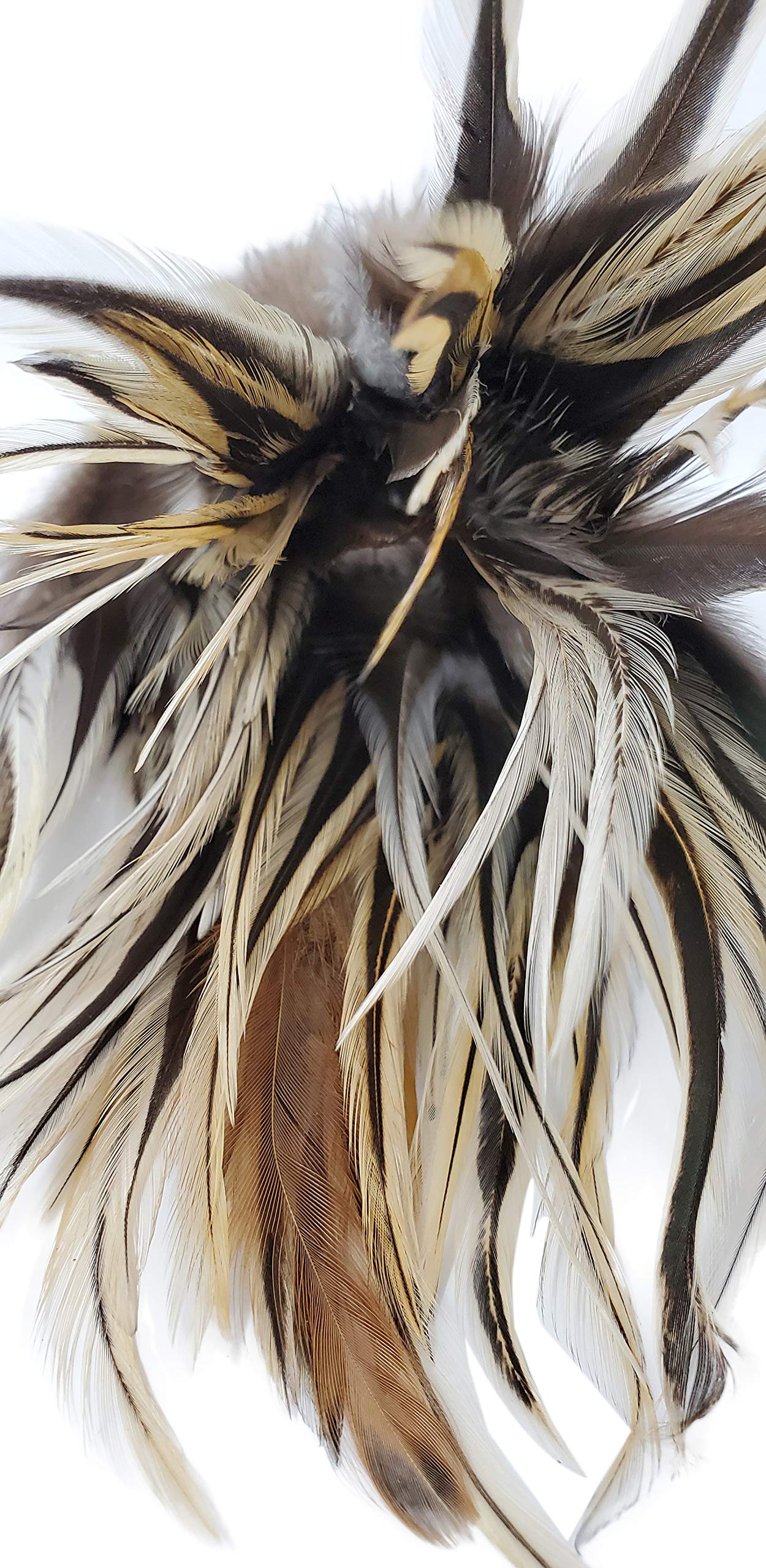 Amazon.com : Creative Angler Saddle Hackle for Fly Tying