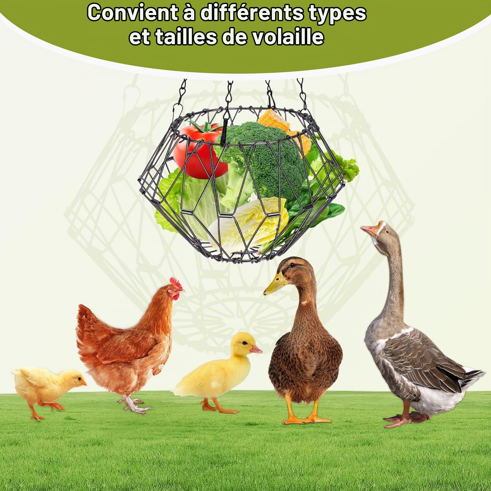 Mangeoires à Poulet, Distributeurs de Nourriture Volailles à Suspendre pour Fruits, Légumes, Panier d'alimentation Pliable pour Canard, Oie, Oiseau, Lapins