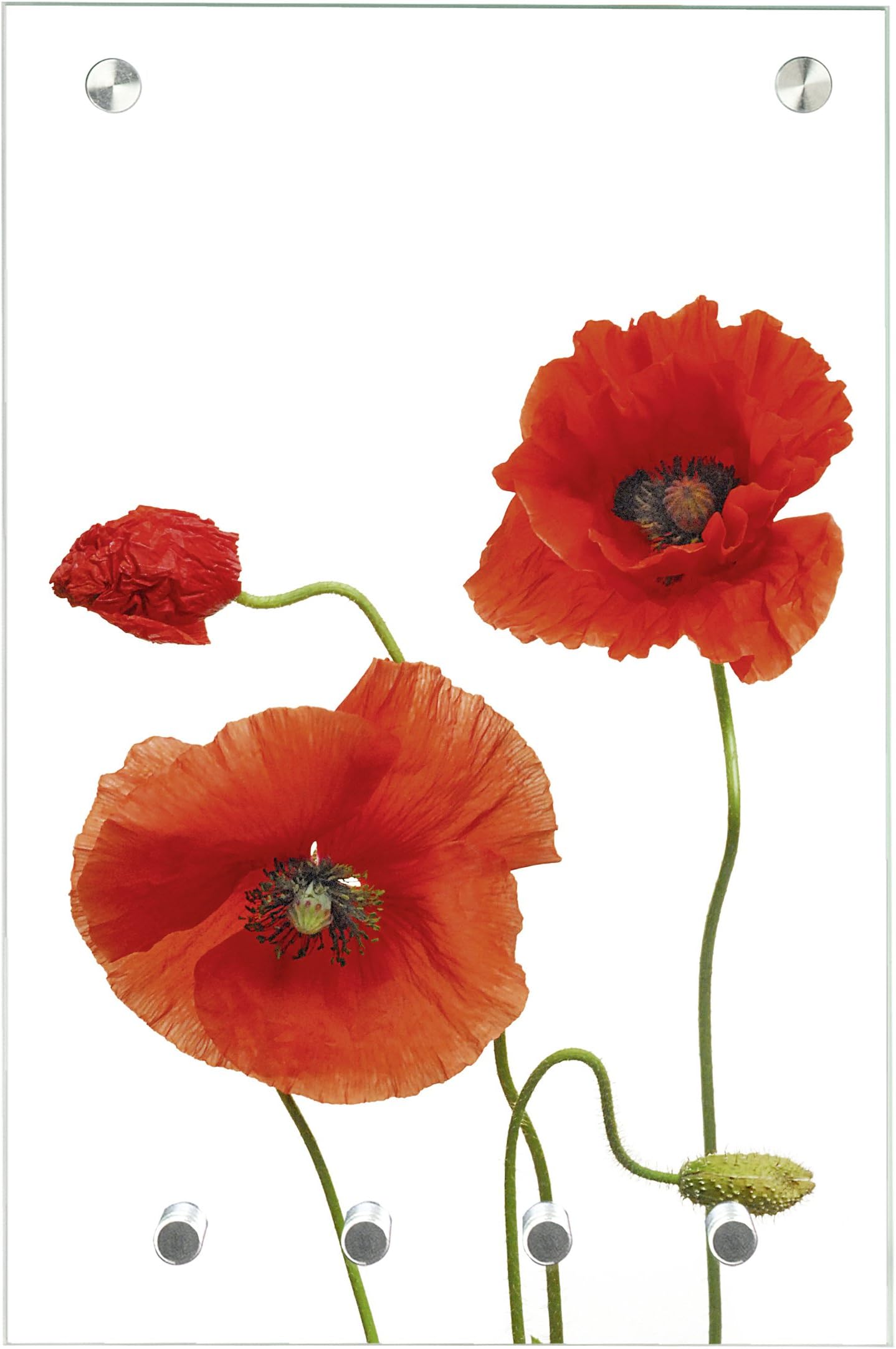 Contento 866165 Magnetic Key Holder