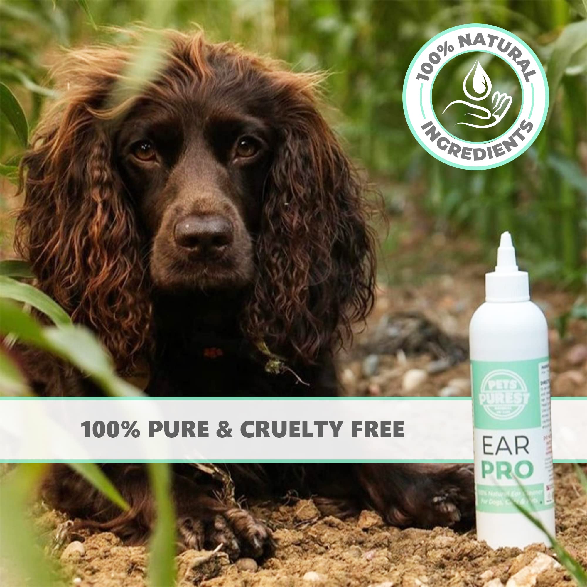 Buy Pets Purest Dog Ear Cleaner UK Vet Ear Drops for Dogs