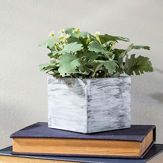 Varathane 12 Pack: Whitewash Wood Enhancer