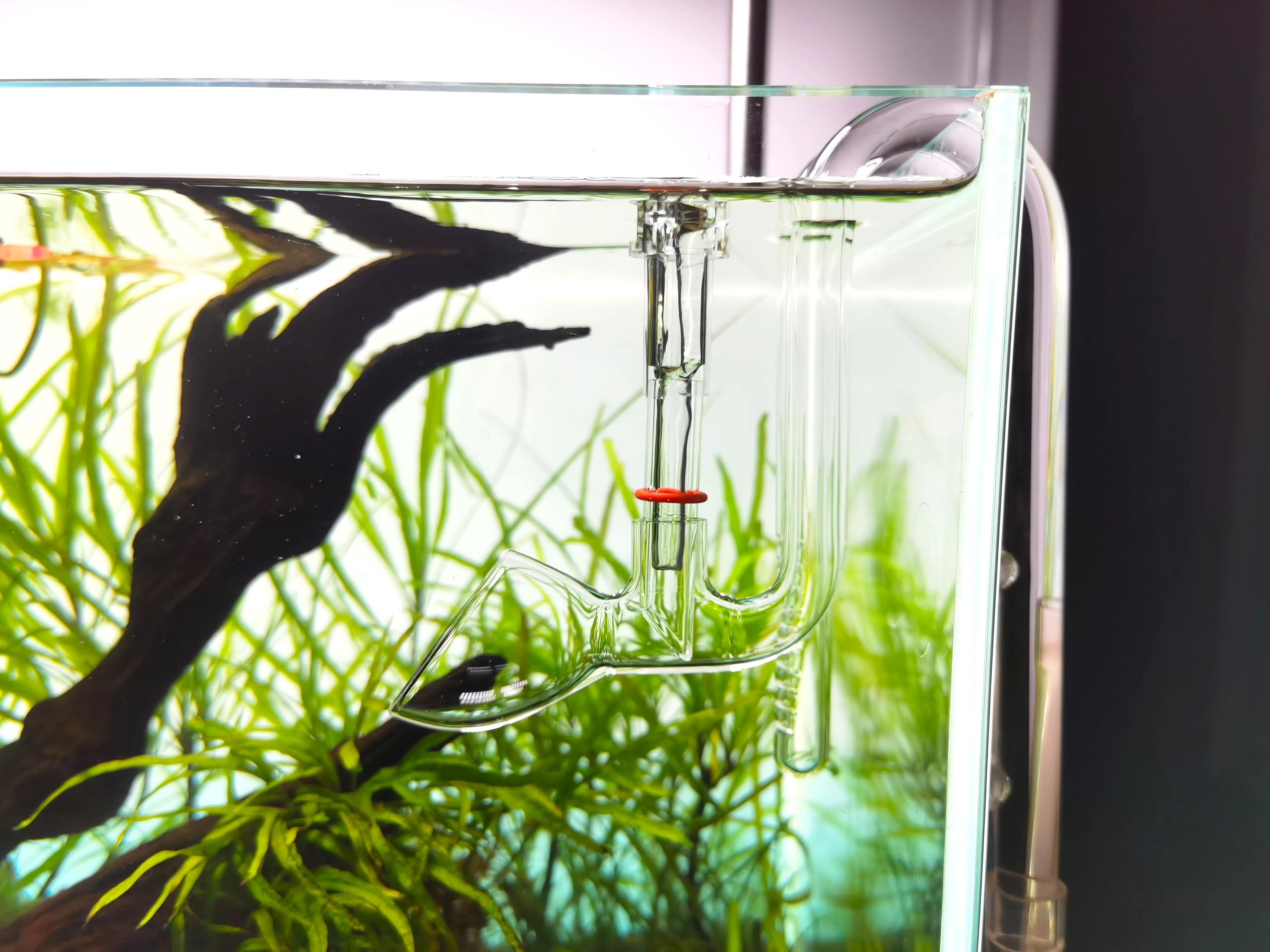 Bec Lily Pipe en verre avec écumeur pour aquarium planté (10 mm pour tuyaux de 9/12 mm)