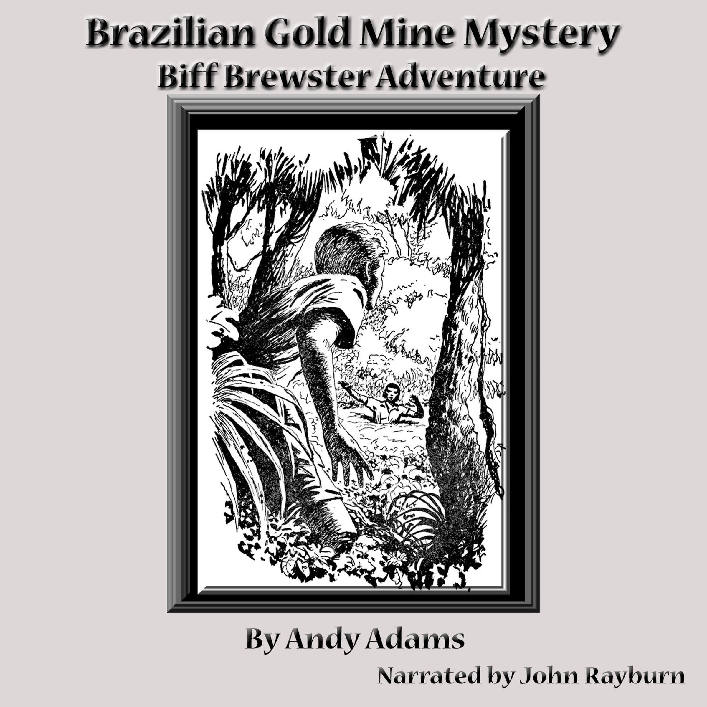 Cover art for Brazilian Gold Mine Mystery