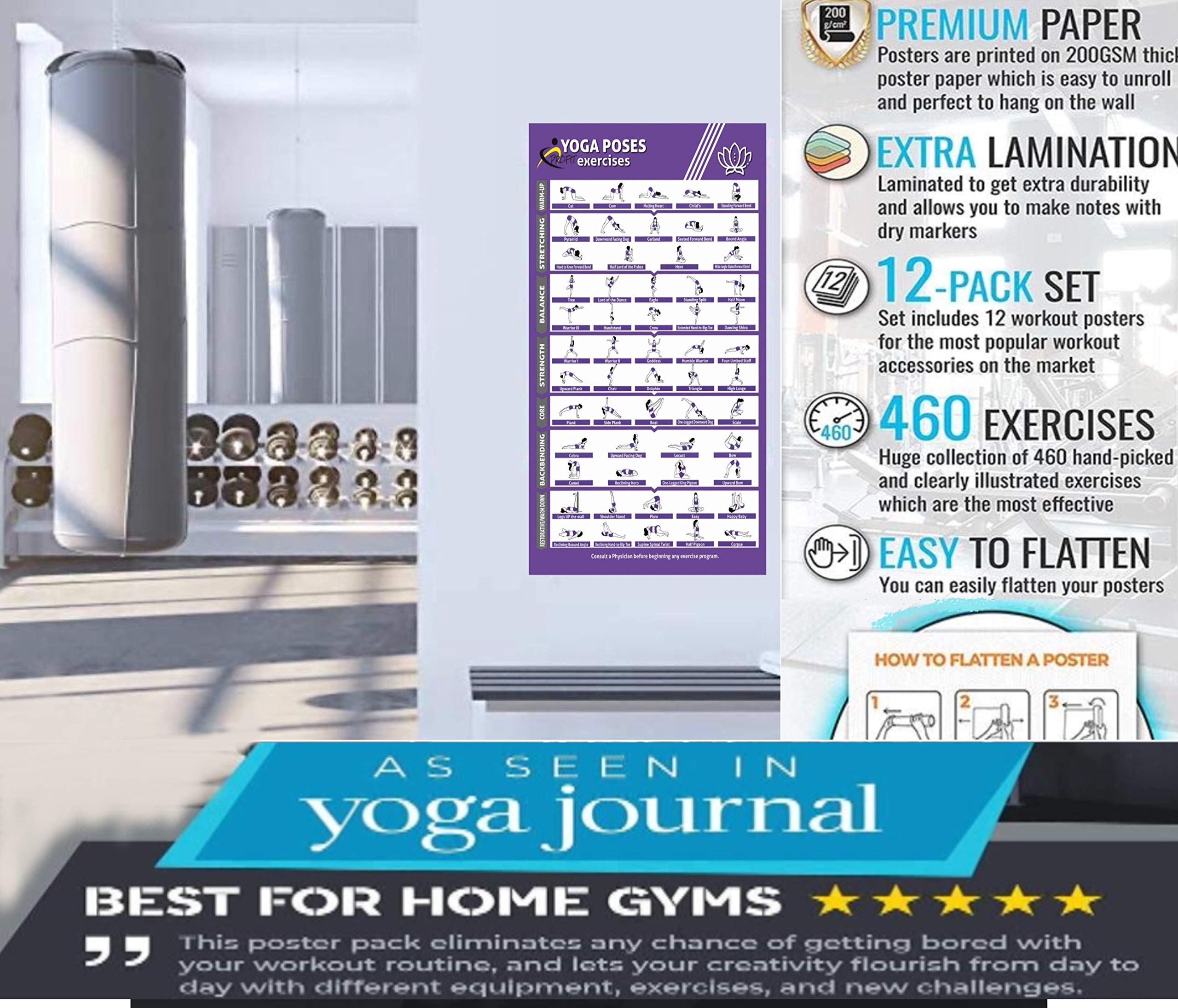 Profit Neue Sportübung Fitnessstudio zu Hause – 12 Fitness-Poster, laminierte Folie für Übungen für Männer und Frauen, elastische Bänder, Yoga, Kugelhanteln, Hanteln usw