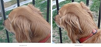 Review Image by Joe Joe