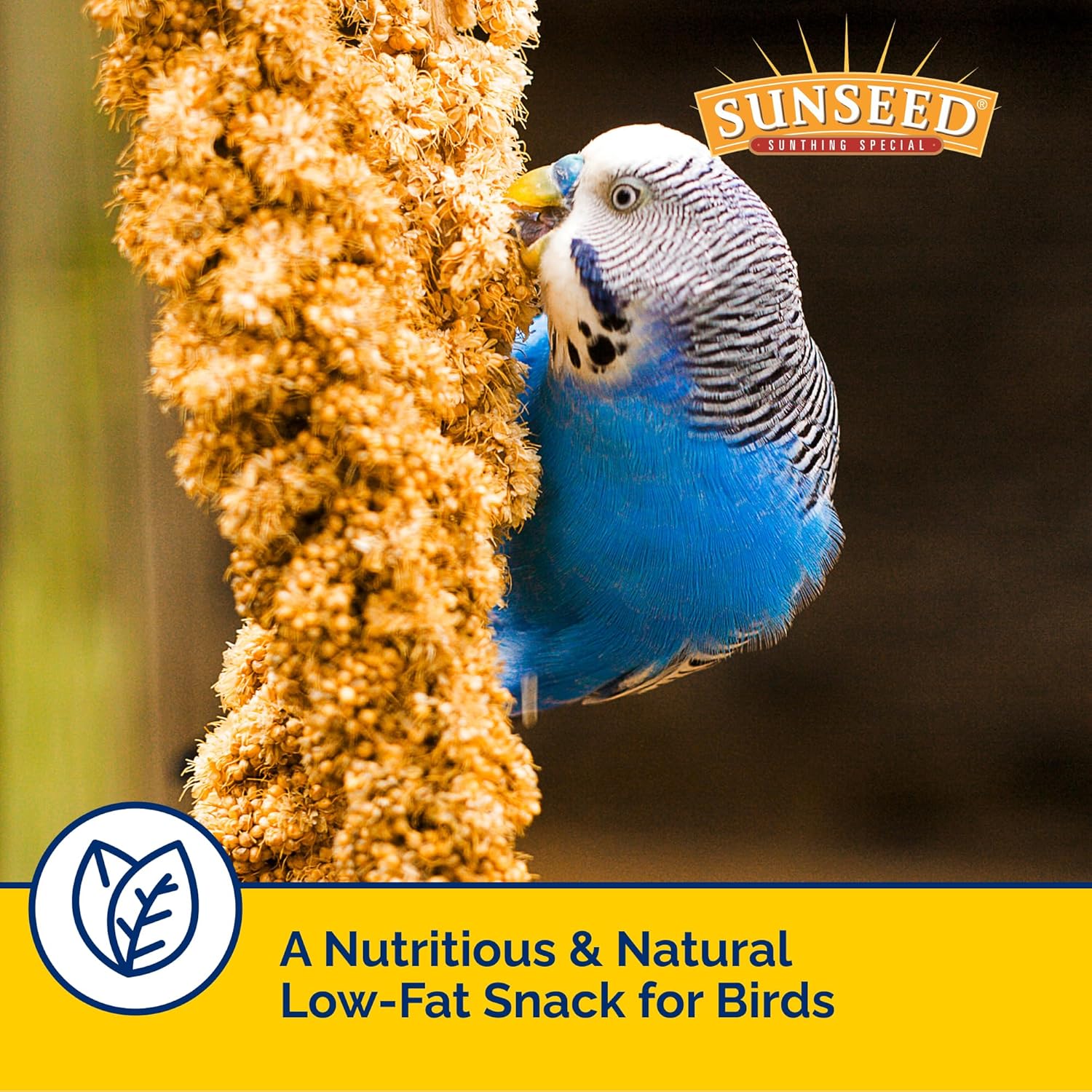 Sunseed Golden Spray Millet Treat for Birds, 21 oz
