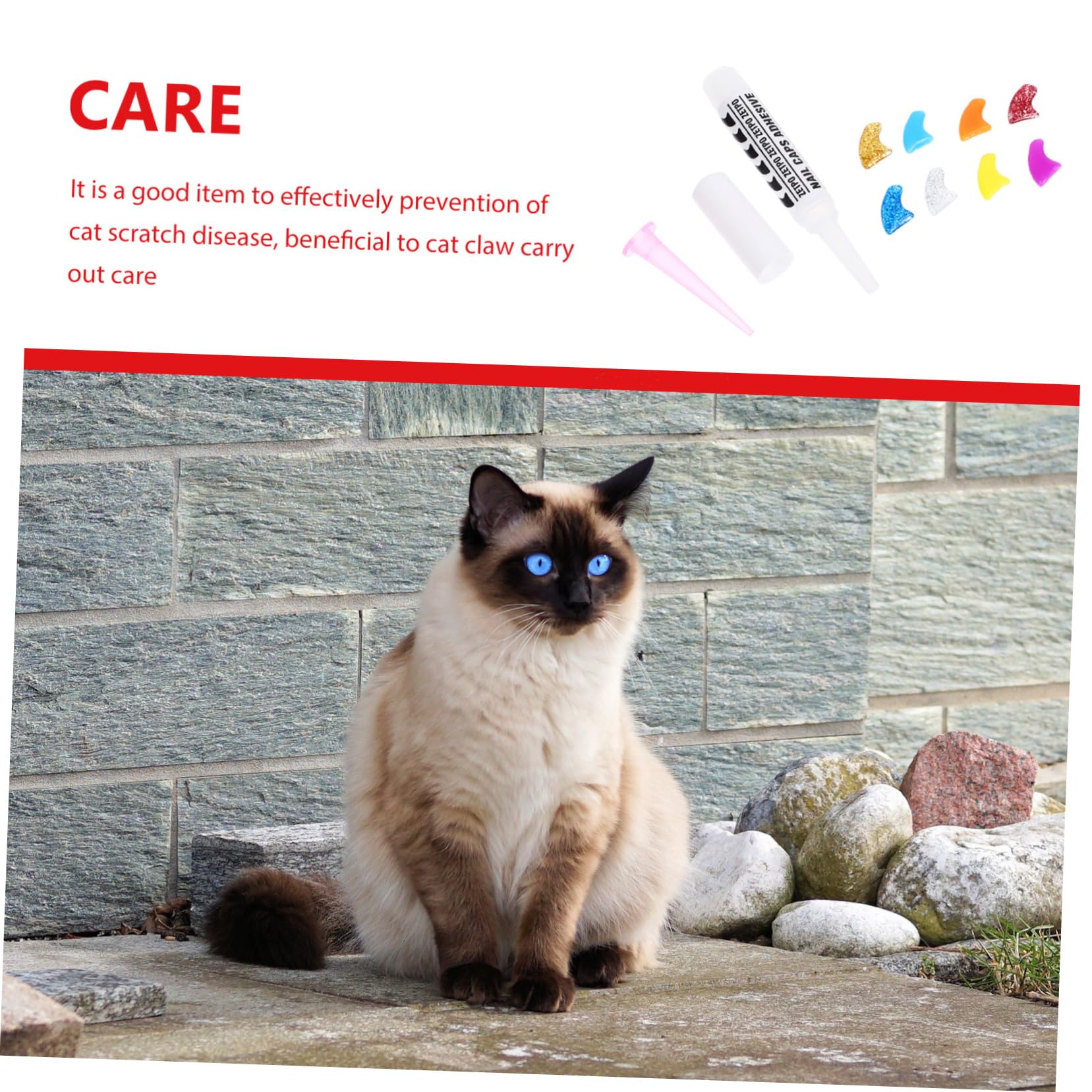 Kisangel Lot de 480 Griffes pour Animaux De Compagnie Pattes pour Chats Griffes De Chat Pattes De Griffes pour Chatons Pointes D'Ongles pour Chat Enveloppes D'Ongles pour Chaton