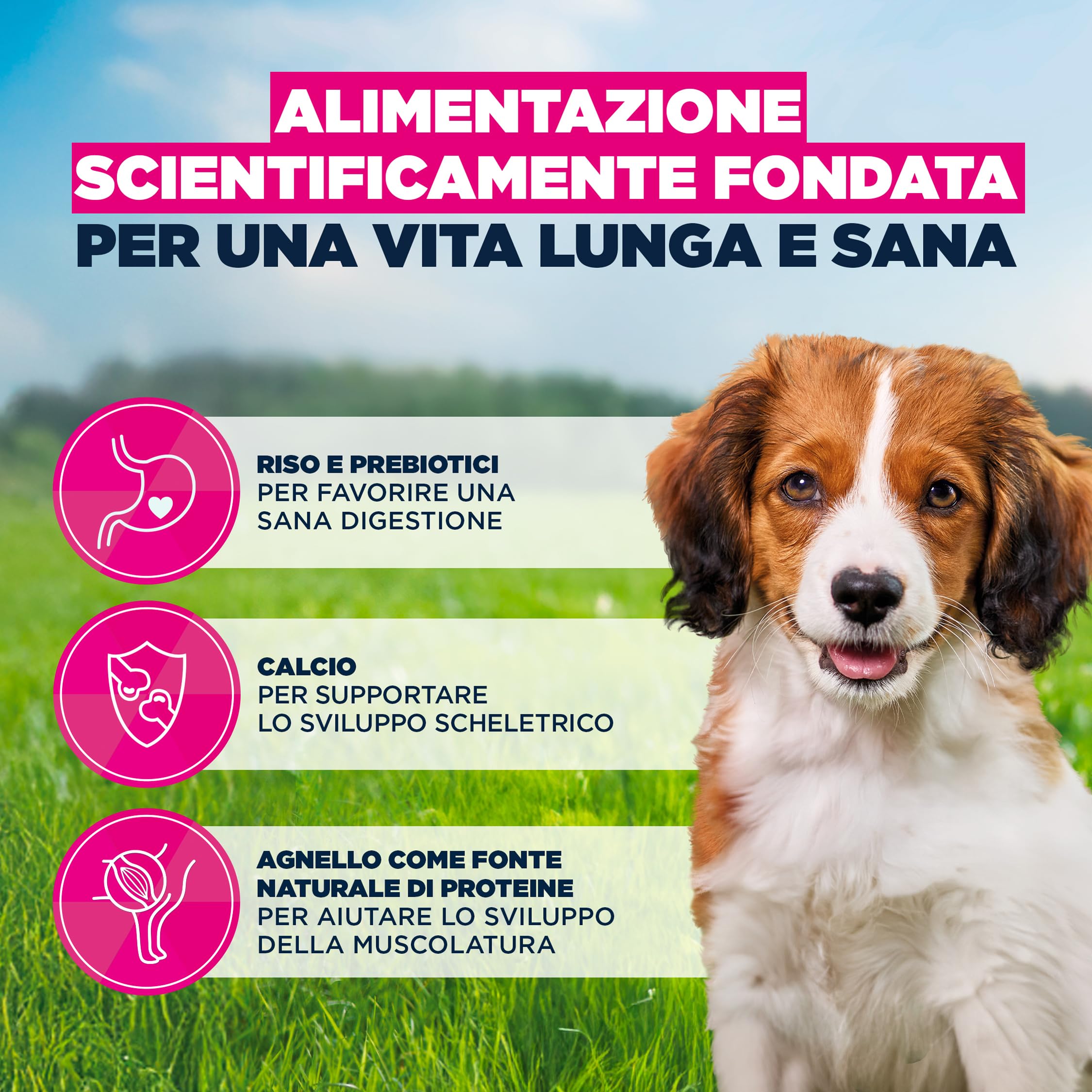EUKANUBA Cibo secco per Cuccioli con agnello e riso per razze di taglia piccola e media - Alimento secco premium per Cani giovani, 3 kg