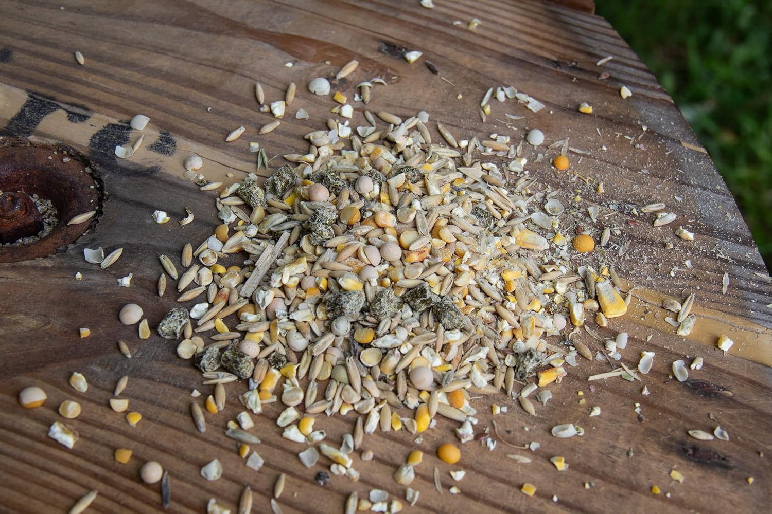 New Country Organics | Sheep Feed for Lactating Ewes and General Maintenance | Soy-Free | 13% Protein | Certified Organic and Non-GMO | 40 lbs Bag