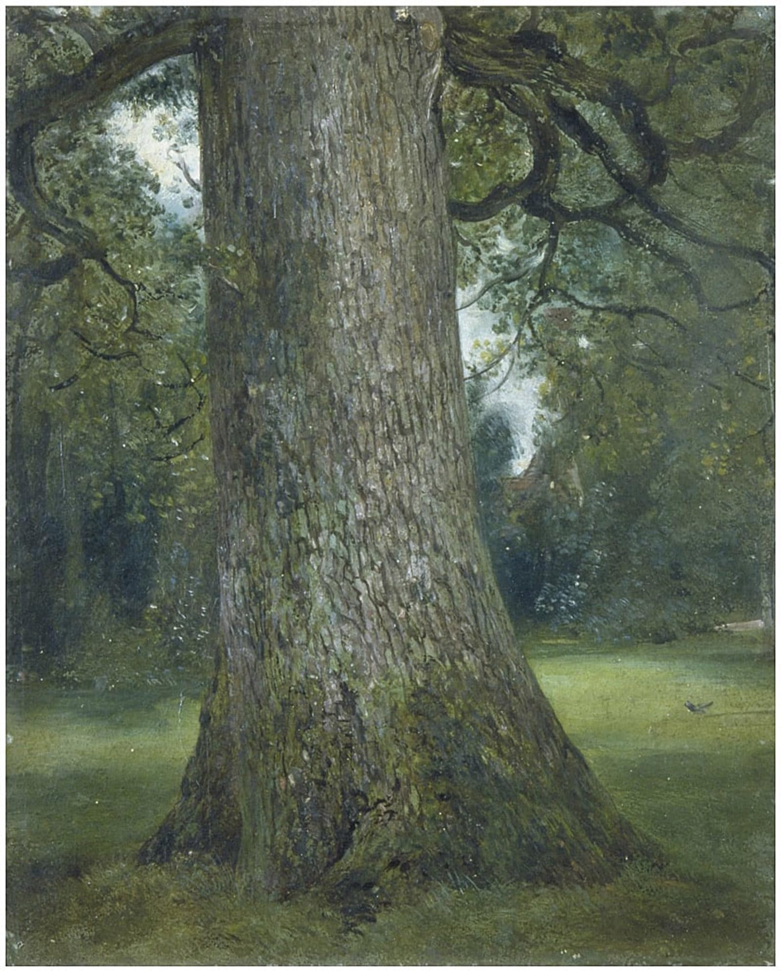 Peinture Poster Étude du tronc d'un orme Constable décoration murale pour bureau - 5