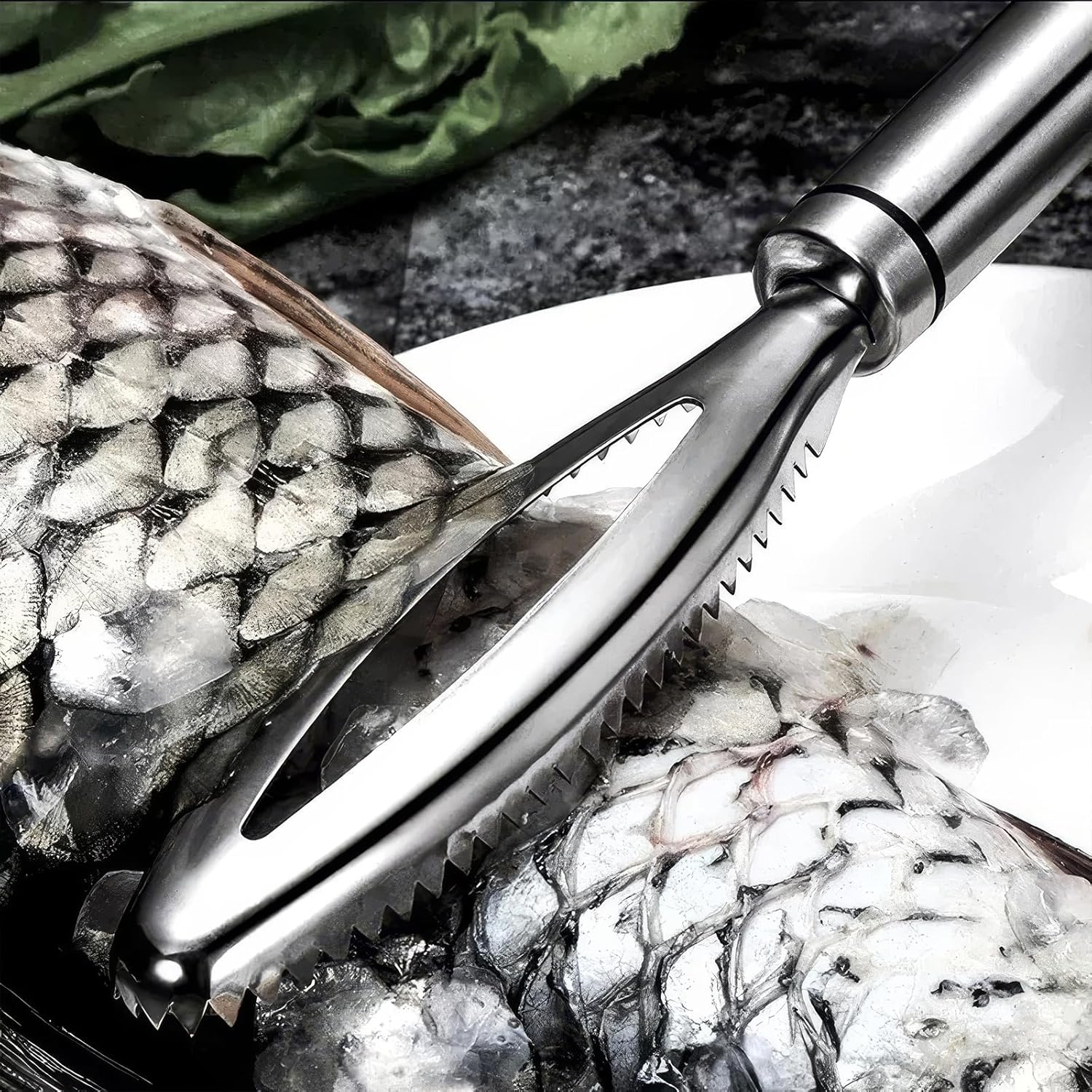 Fish Scales Scraping Tool, 2024 New Stainless Steel Nigeria Ubuy