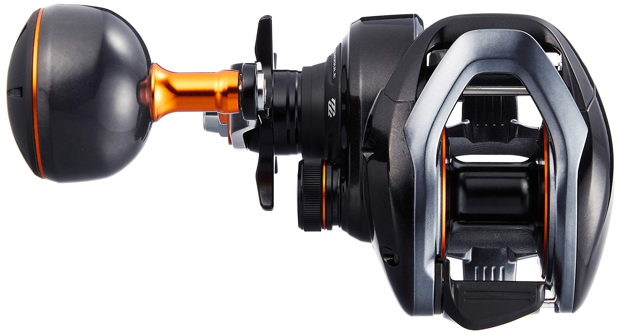 SHIMANO 20 BAYGAME 301PG Left : Amazon.sg: Sporting Goods