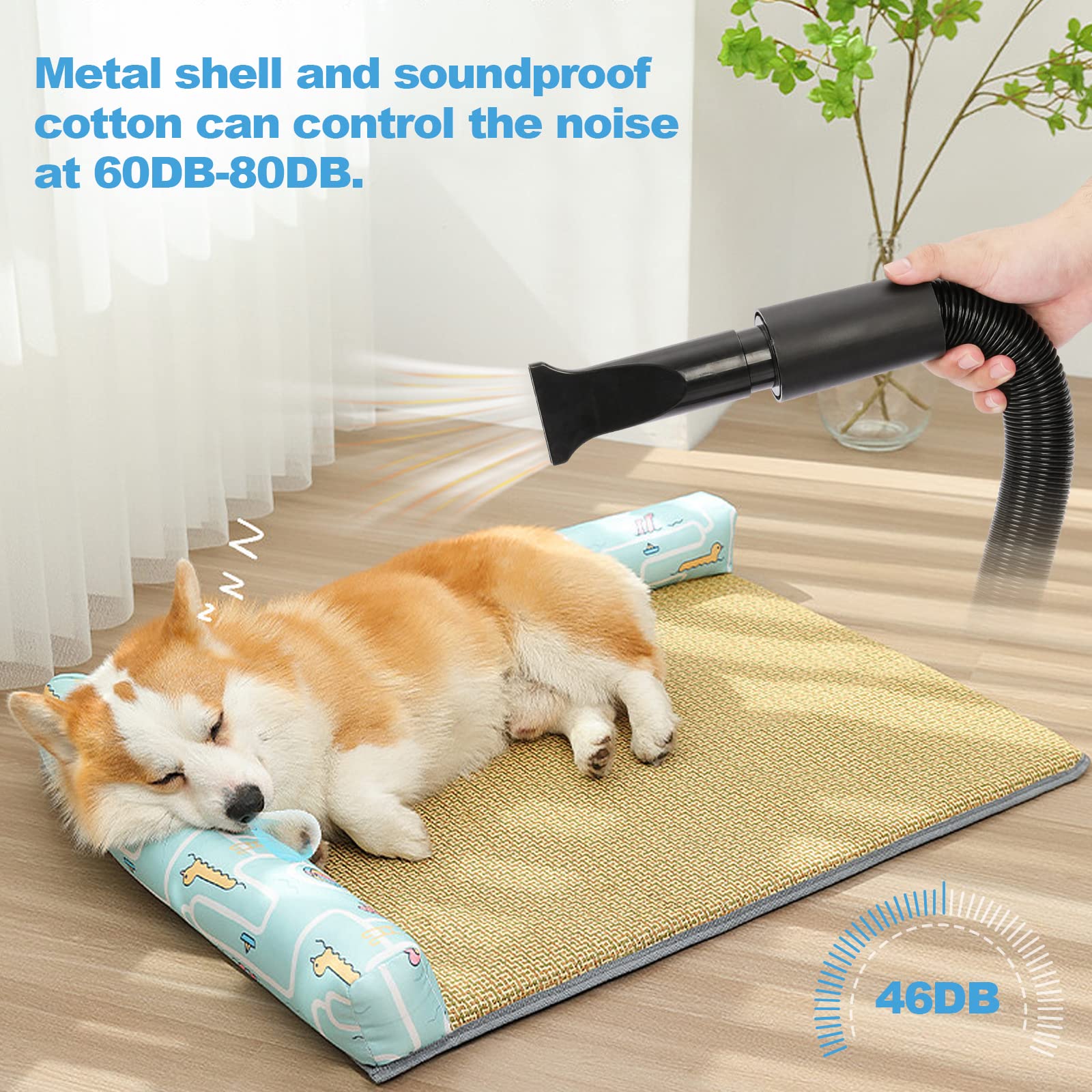 XKISS Soffiatore per Cani 3200W/4.5 PS, Asciugatore per Cani,Continua con velocità e Temperatura Regolabile Asciugacapelli per Animali Domestici, con 4 Ugelli Diversi (Blu)