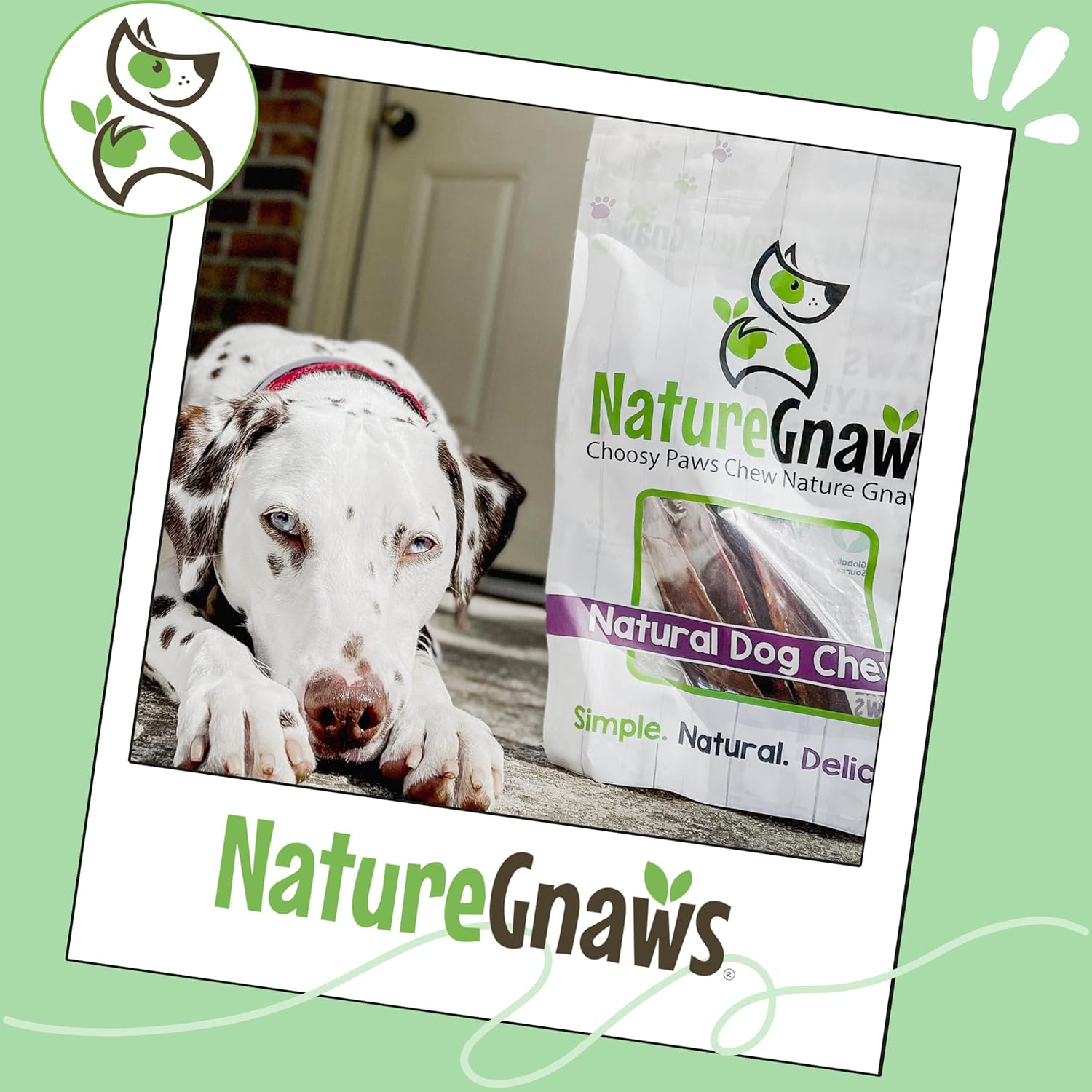 Nature Gnaws Beef Gullet Chews for Large Dogs 9-10" (50 Count) - Natural Beef Jerky Stick Dog Chew Treats - Rawhide Free