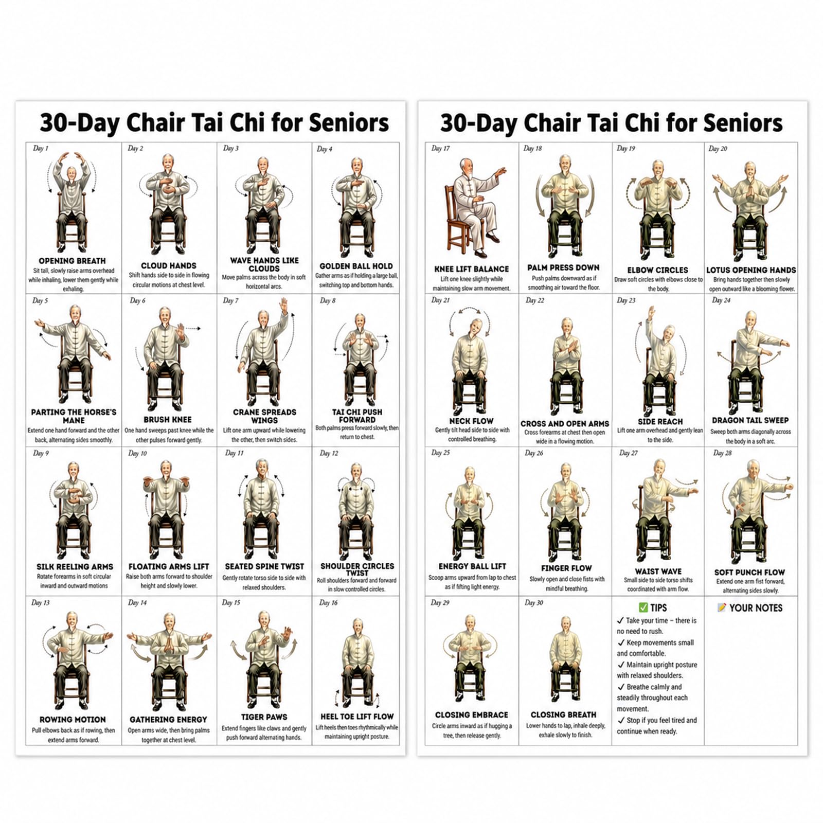 QhgPnt Tai Chi Chair Workout, Tai Chi Chair Practice Poster, Seated Exercise Chart for Seniors Beginners, Home Gym Wall Art Decor for Living Room Bedroom(10in x 8in)