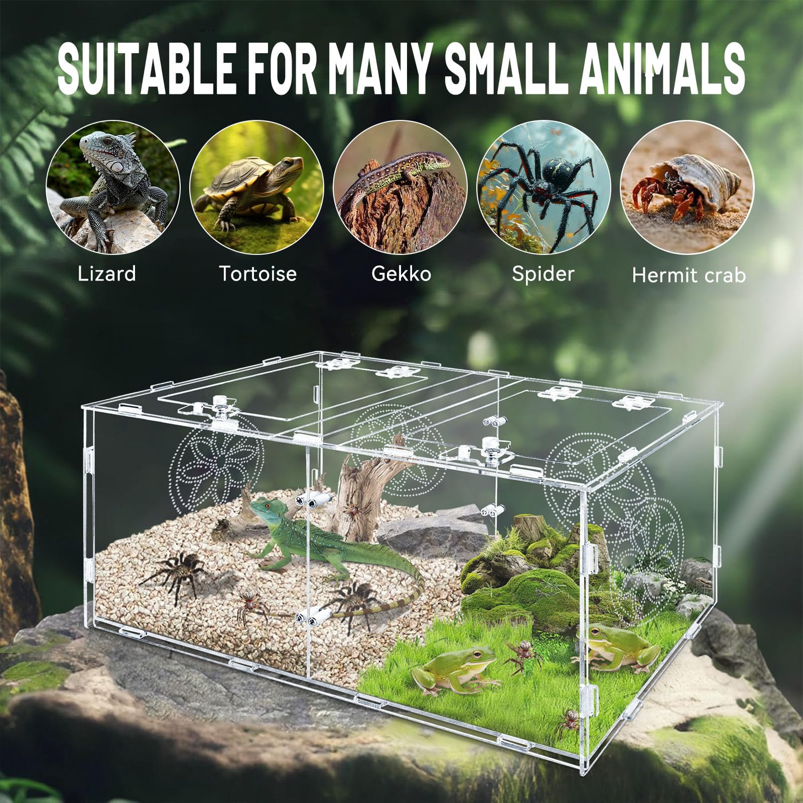 Recinto grande de araña saltadora, caja de tarántula acrílica de 15.7 x 7.8 x 9.85 pulgadas, recinto de reptiles para reptiles que viven en árboles pequeños, anfibios e invertebrados, terrario de