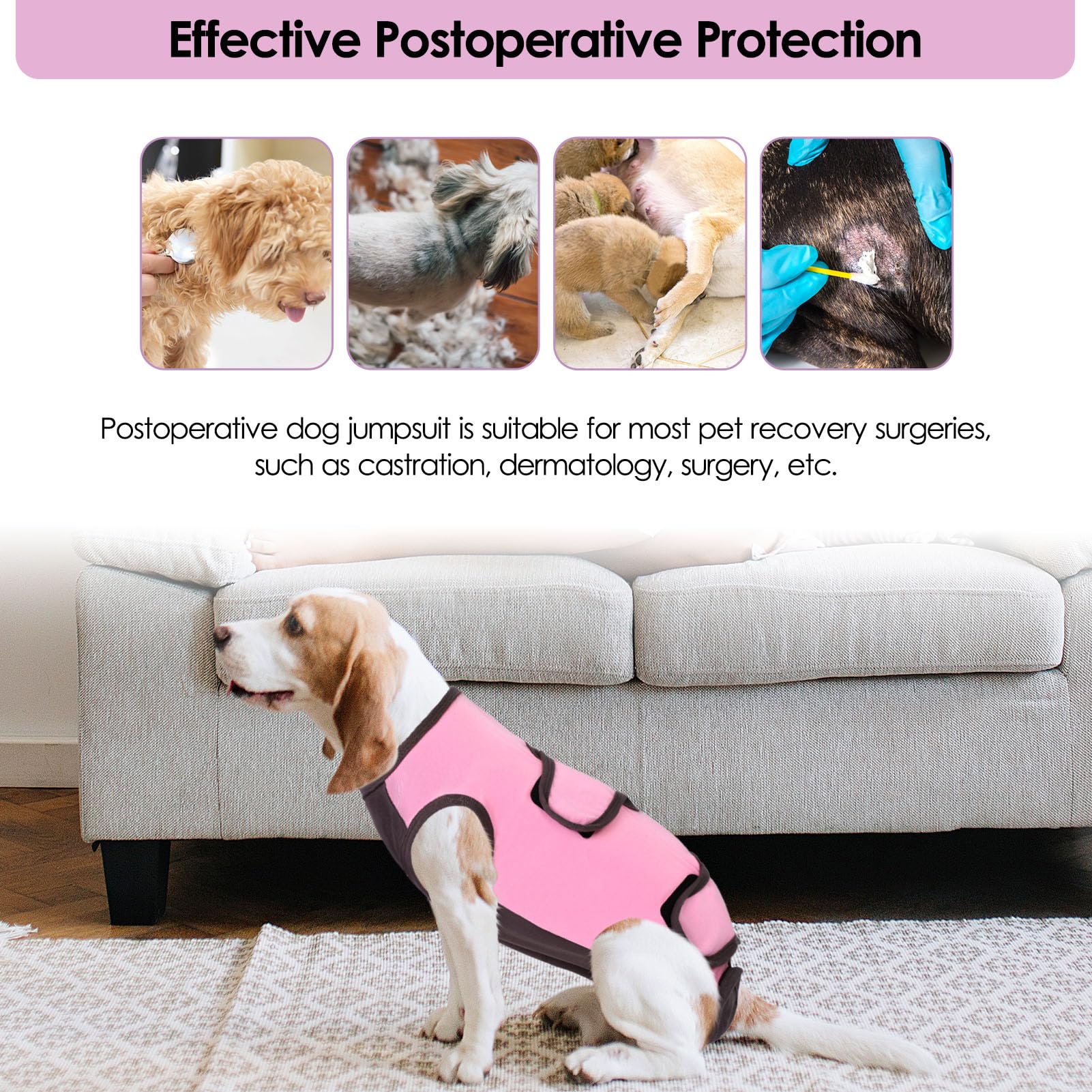 ASENKU Body Post Operatorio Cane Femmina Tutina Recupero Cane per Ferite Pigiama per Cani Protezione Postoperatoria Vestito Cane Colletto Alternativo Dopo l'intervento Chirurgico