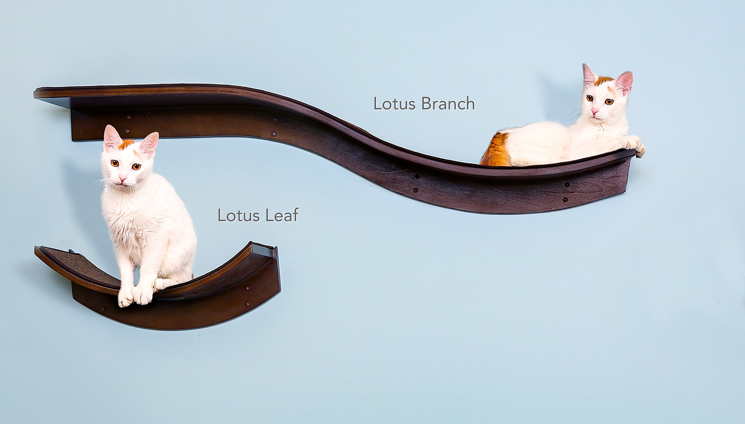 TRIXIE Wall Mount Cat Bed, Cat Shelf, Suspension Bridge, Elevated