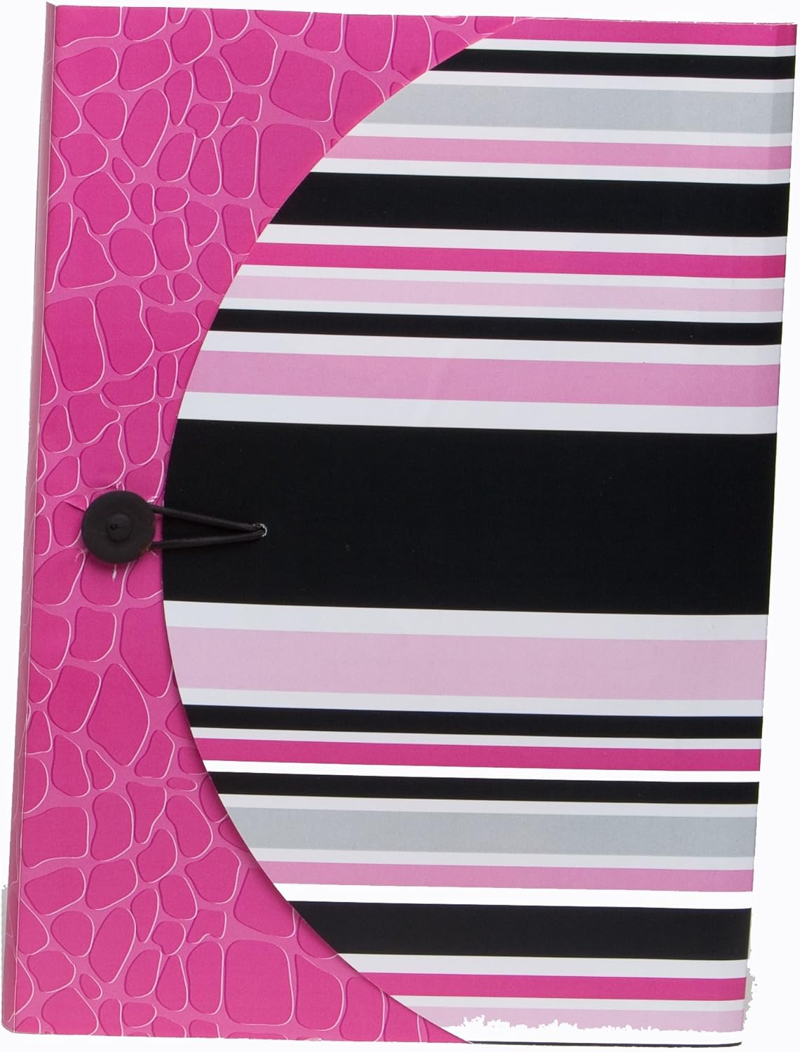 Carolina Pad Simply Chic Accordion Folders, Assorted Designs, 13-Pockets with 12 Tabs, 6-Count, Designs May Vary (28088)