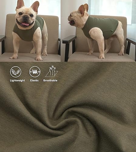 Miniatura 4 de Sychein - Camisa de algodón peinado para perro, de secado rápido, refrescante, para perros labradores extragrandes, rayas azules y rosas, talla XXXL