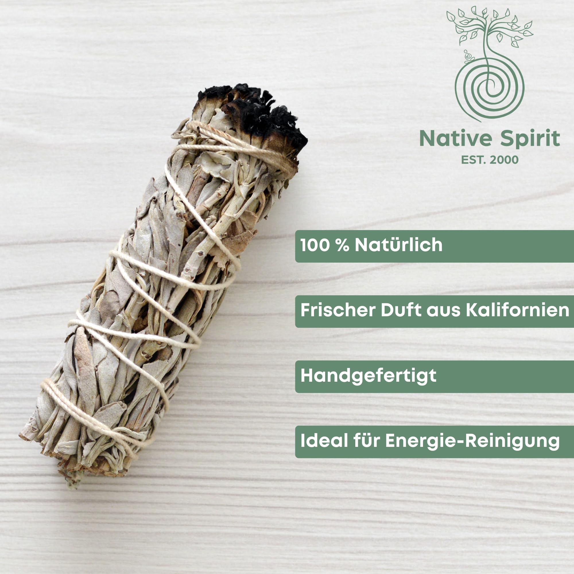 Native Spirit Salvia Blanca California, Pack de 6, 8 cm