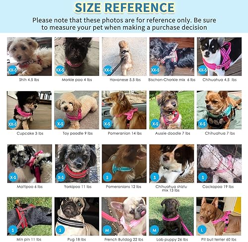 Miniatura 6 de SlowTon - Arnés y correa para perros pequeños, resistente, chaleco de paseo fácil, arnés suave acolchado reflejante, ajustable para cachorro,
