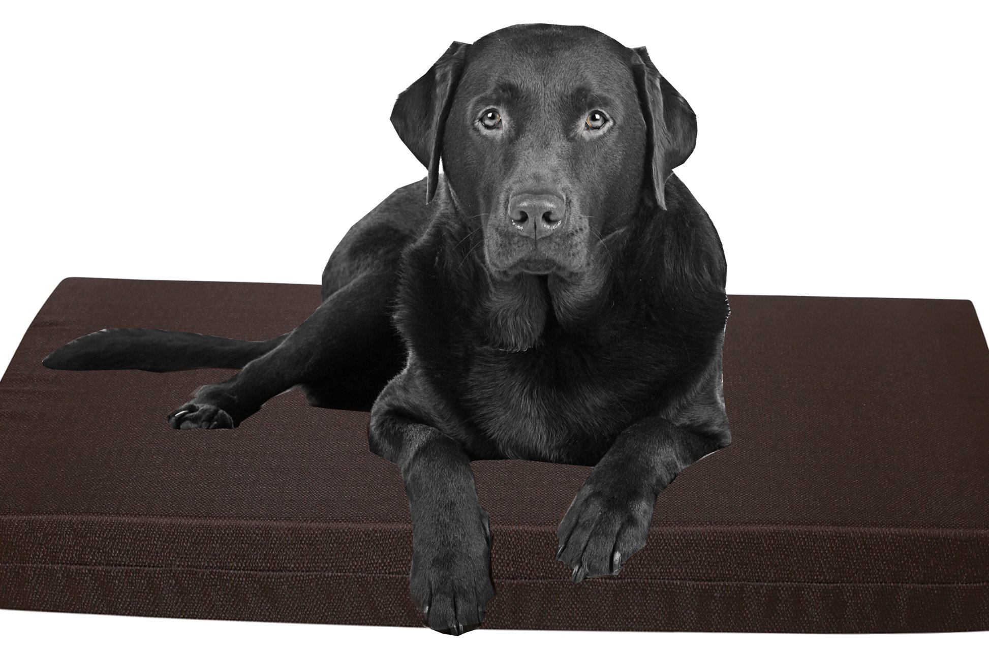 Lit pour chien orthopédique déhoussable matelas mousse à mémoire