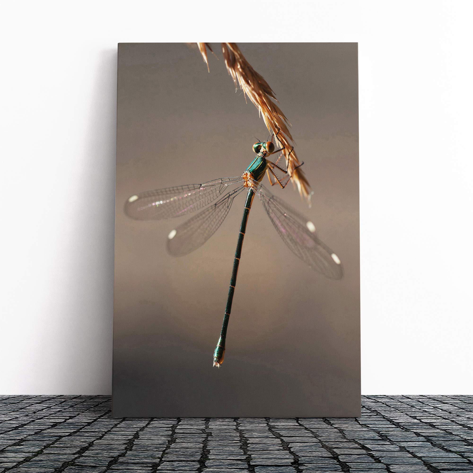 Dragonfly Canvas Print | Gallery Wrapped 30mm Frame Wall Art | 30x20 inches | Ready to Hang | Modern Animals Picture | Living Room Bedroom Lounge Office
