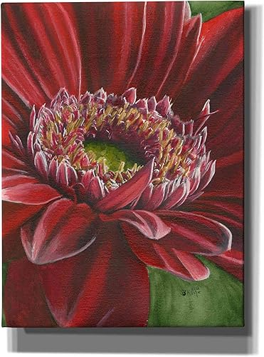 Epic Graffiti 'Bauble' de Barbara Keith, lienzo para pared, 12 x 16 pulgadas