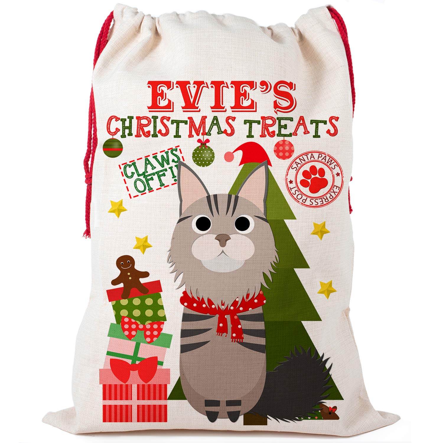 KRAFTYGIFTS Personalised Cat Christmas Sack Kitten Pet Santa Bag Treat Gift Stocking (Maine Coone Small CCS08)