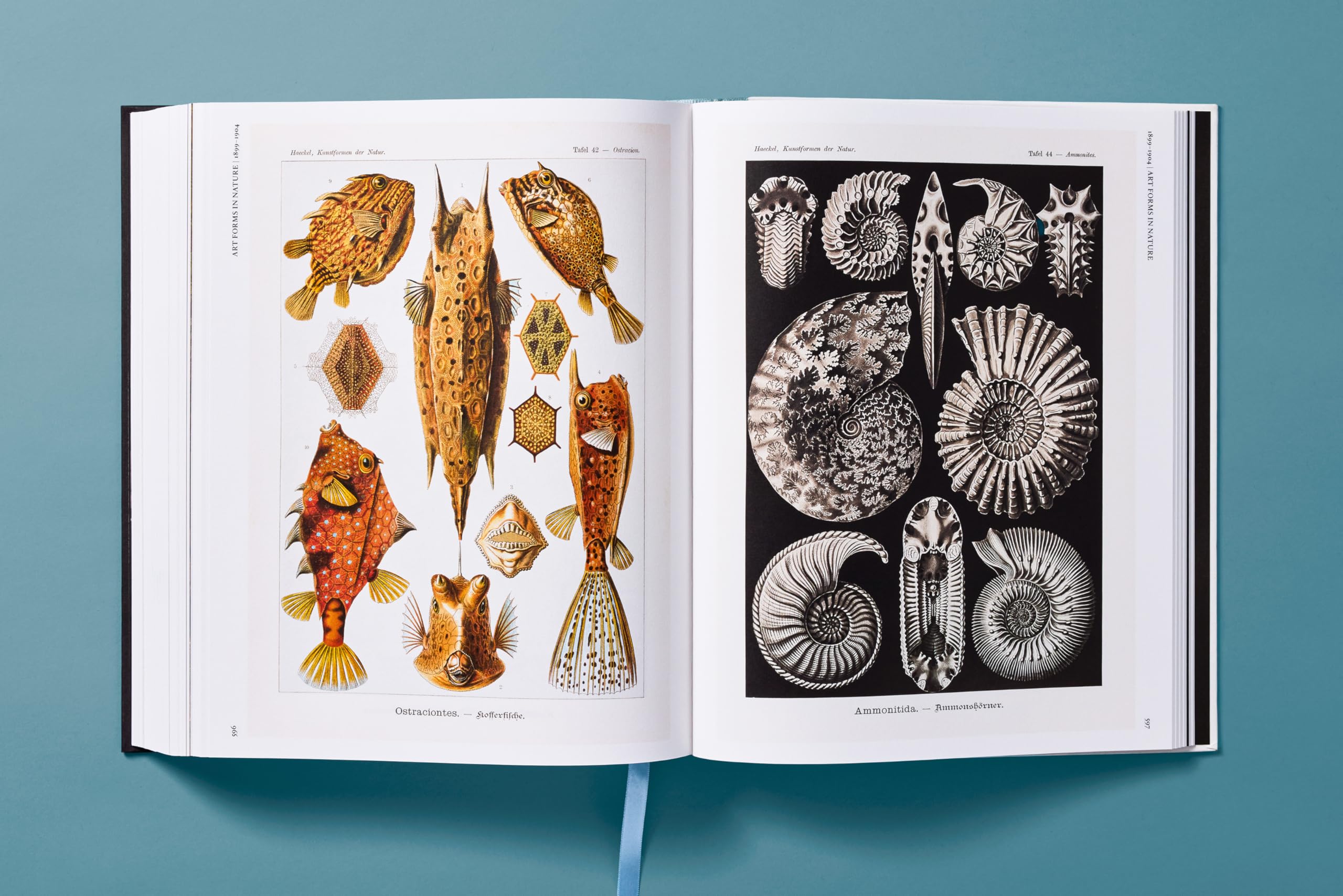 The Art and Science of Ernst Haeckel