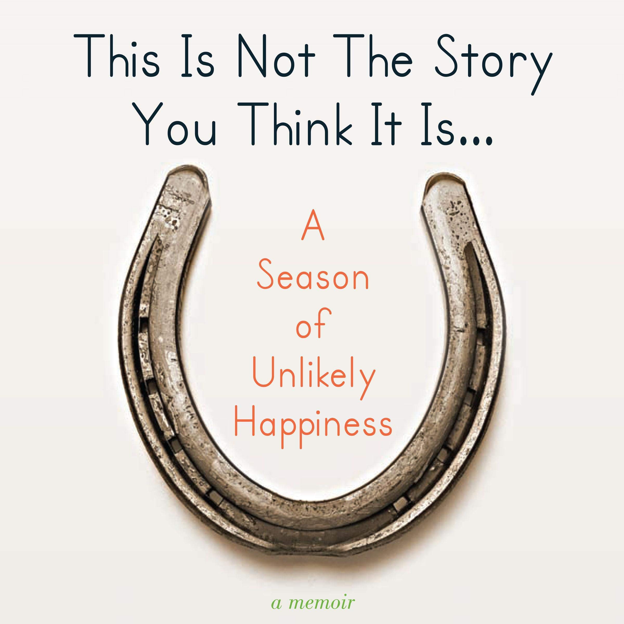 Cover art for This Is Not The Story You Think It Is...