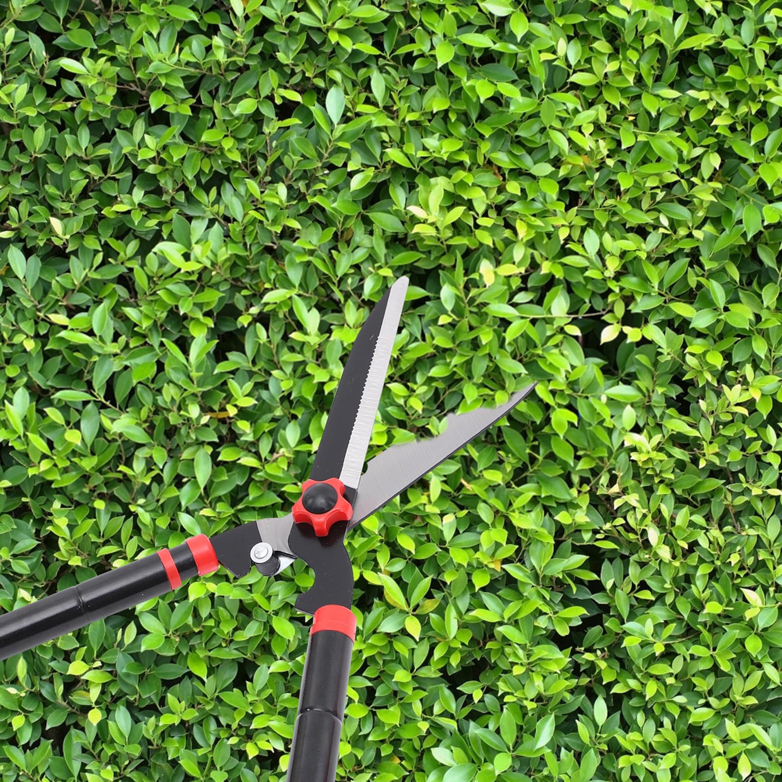 Toddmomy Podadora de Jardín Manual Cuchillas de Acero Sk5 y Mango de Goma, Tijeras Cortasetos Extensibles de 22 a 30 Pulgadas para Recortar Arbustos y Setos Comodidad