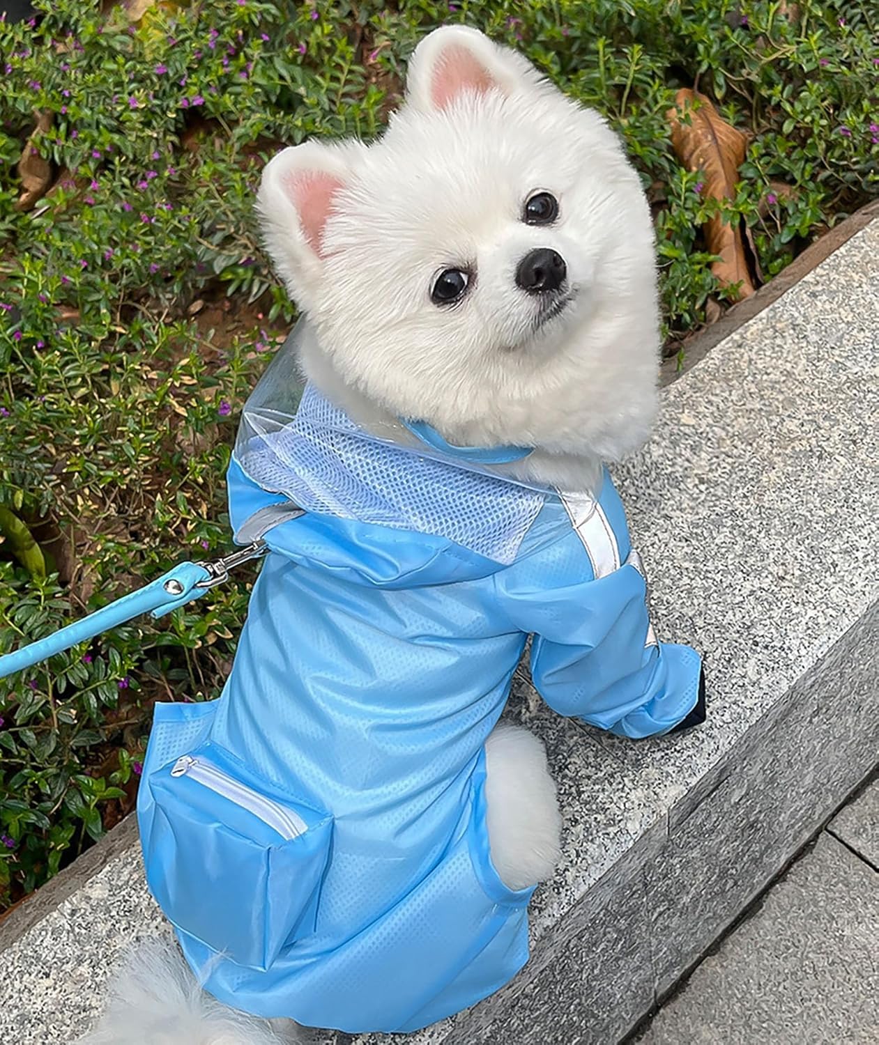 Impermeabile per cani con cappuccio - Tuta impermeabile a copertura completa per quattro zampe con scarpe, asciugatura rapida, per animali domestici, per cani di taglia piccola, media e