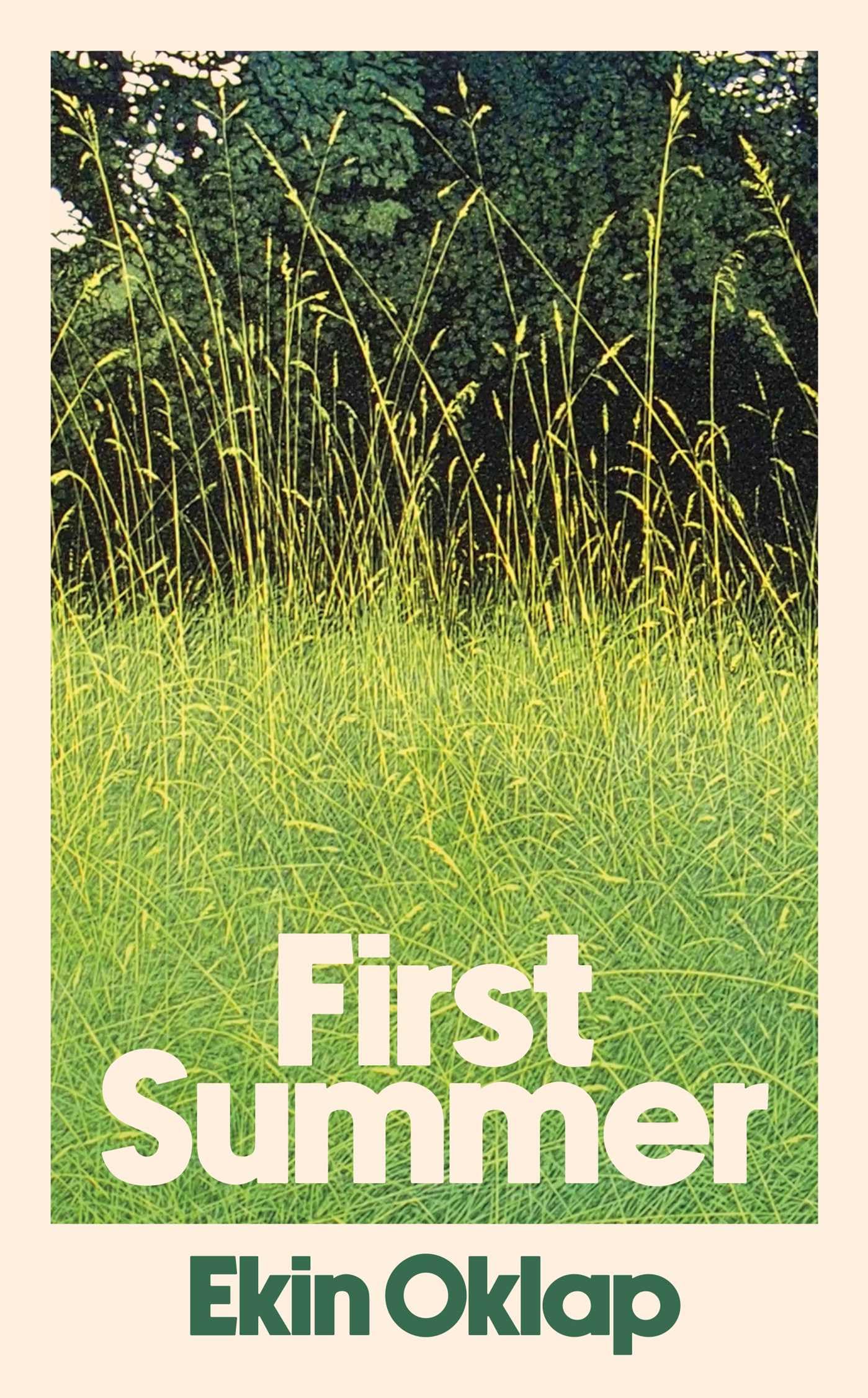 First Summer by Ekin Oklap (Hardback Book)