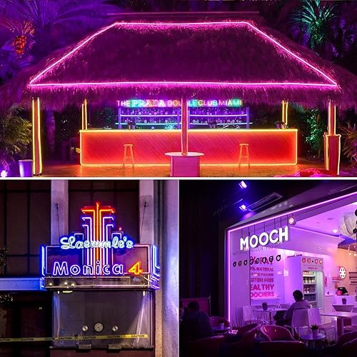 Miniatura 9 de Shine Decor Tira de luces LED RGB de neón de 12 V, control remoto, tira de luz de neón de silicona regulable, 16.4 pies16.4 ft, luces de neón LED