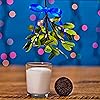 Product Photo 7