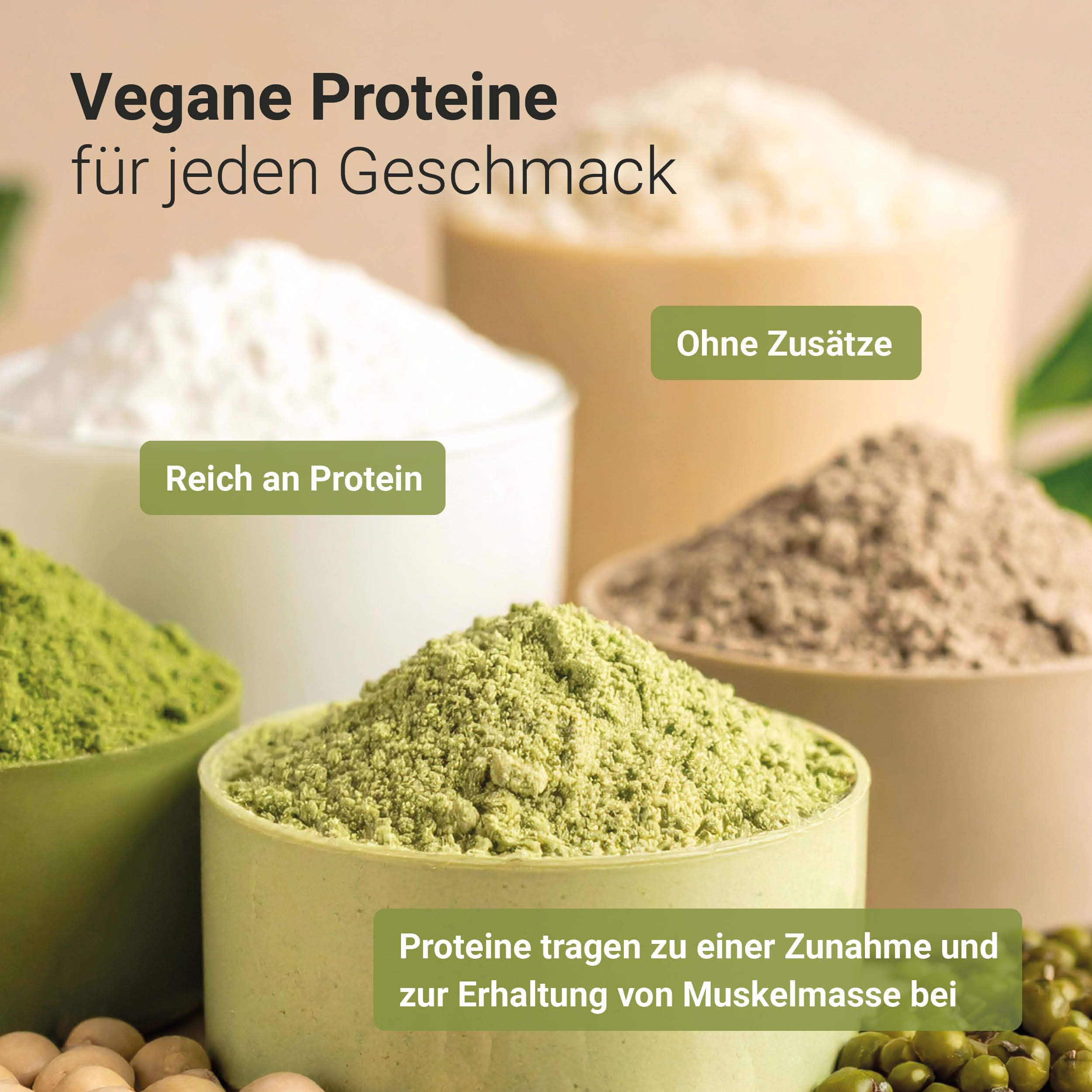 Raab Vitalfood® Bio Protein Shake Pur (500 g) - vegan & ohne Soja, Pur ohne Zusätze, Protein-Pulver mit 78 % Proteingehalt, neutraler Geschmack, glutenfrei, laktosefrei
