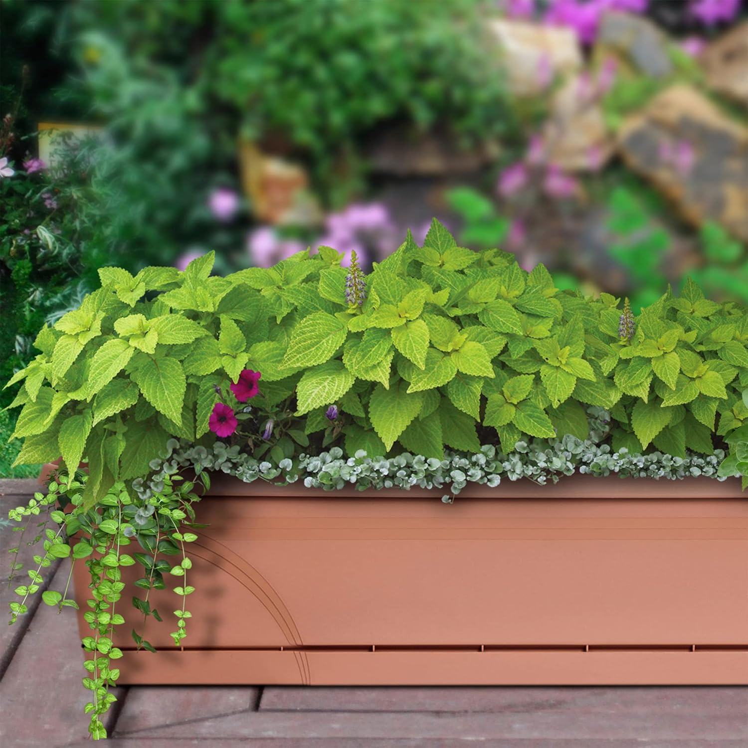 Southern Patio 24" Medallion Window Box, Terra Cotta