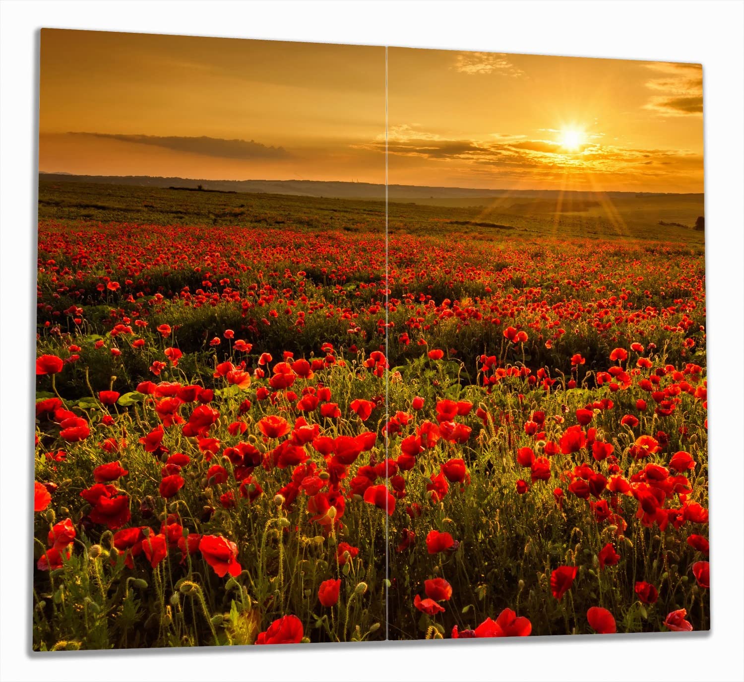 Wallario Herdabdeckplatte aus Glas, 2-teilig, 60x52cm, für Ceran- und Induktionsherde - Motiv: Mohnblumenwiese bei Sonnenuntergang am Abend