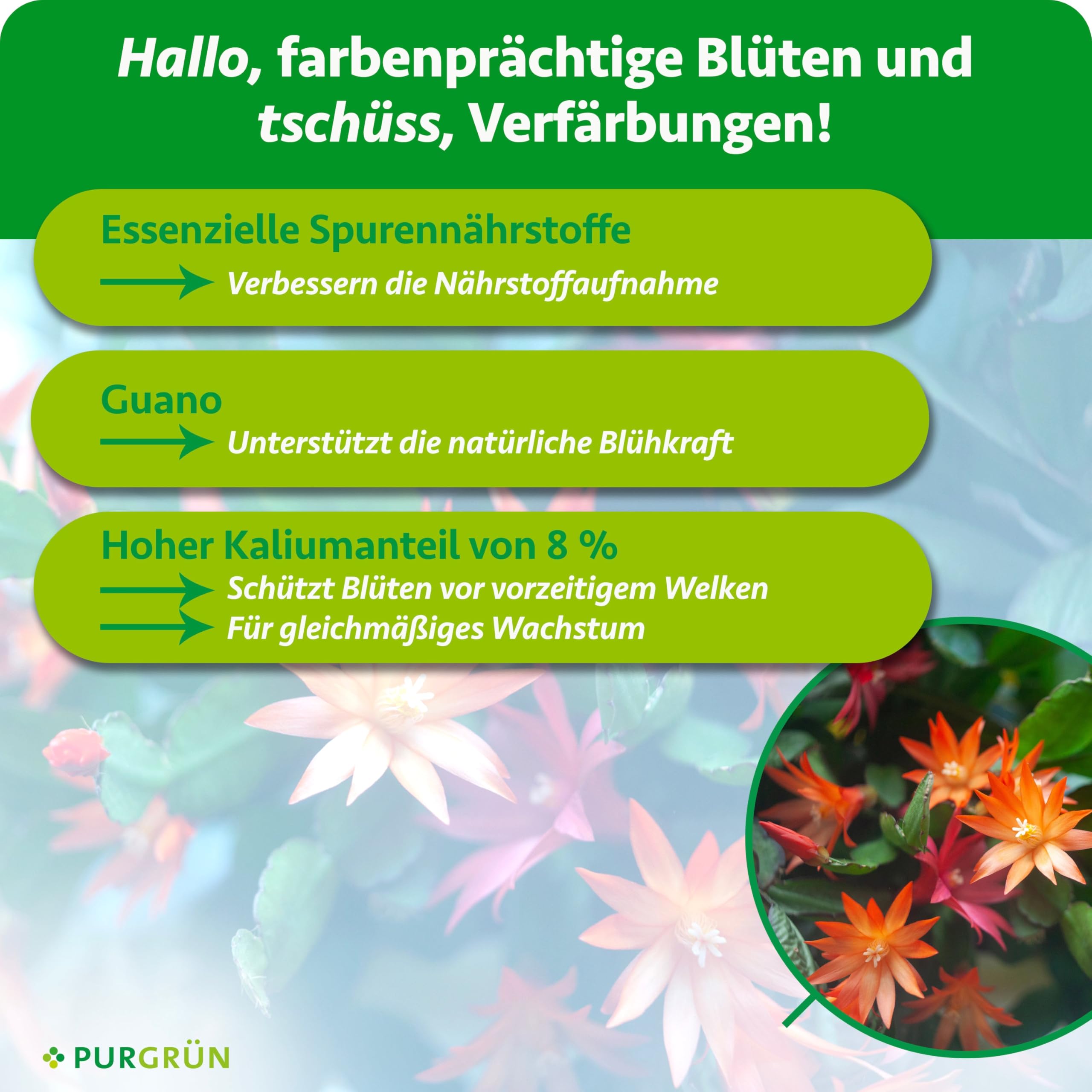 Weihnachtskaktus-Dünger 1 Liter – Spurennährstoffe für prächtige Blüten – Extra Kalium stärkt die Widerstandskraft – Ergiebiges Konzentrat für 400 Liter Gießwasser – Premium-Flüssigdünger