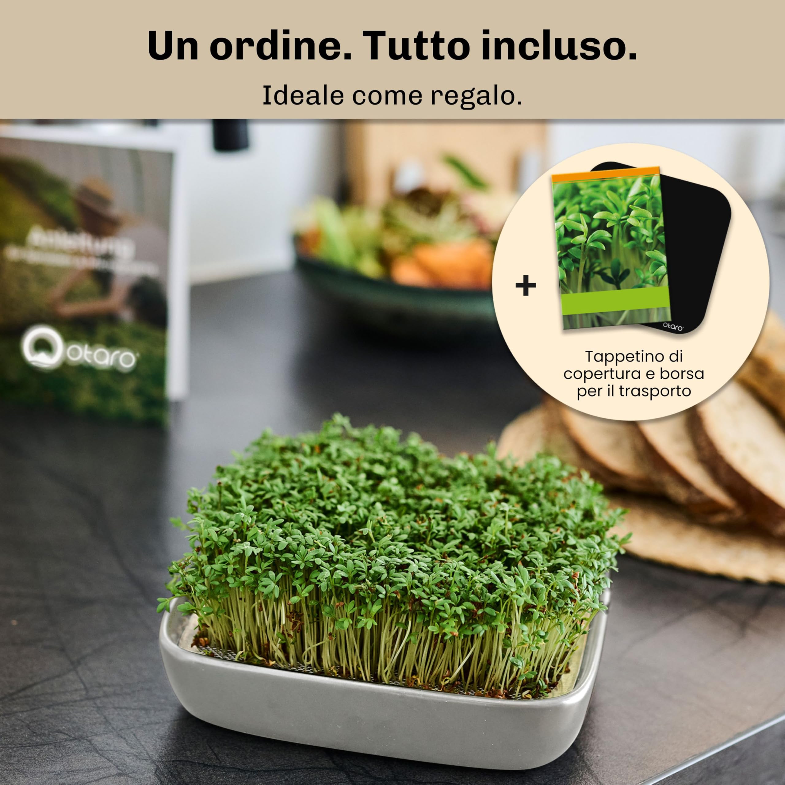 Otaro Germogliatore con Semi di crescione | Microgreens | Idroponica Kit Completo - Pronto all’Uso | Germogliatore per Semi | Semenzaio Elegante | (Grigio - Set Premium in Ceramica)