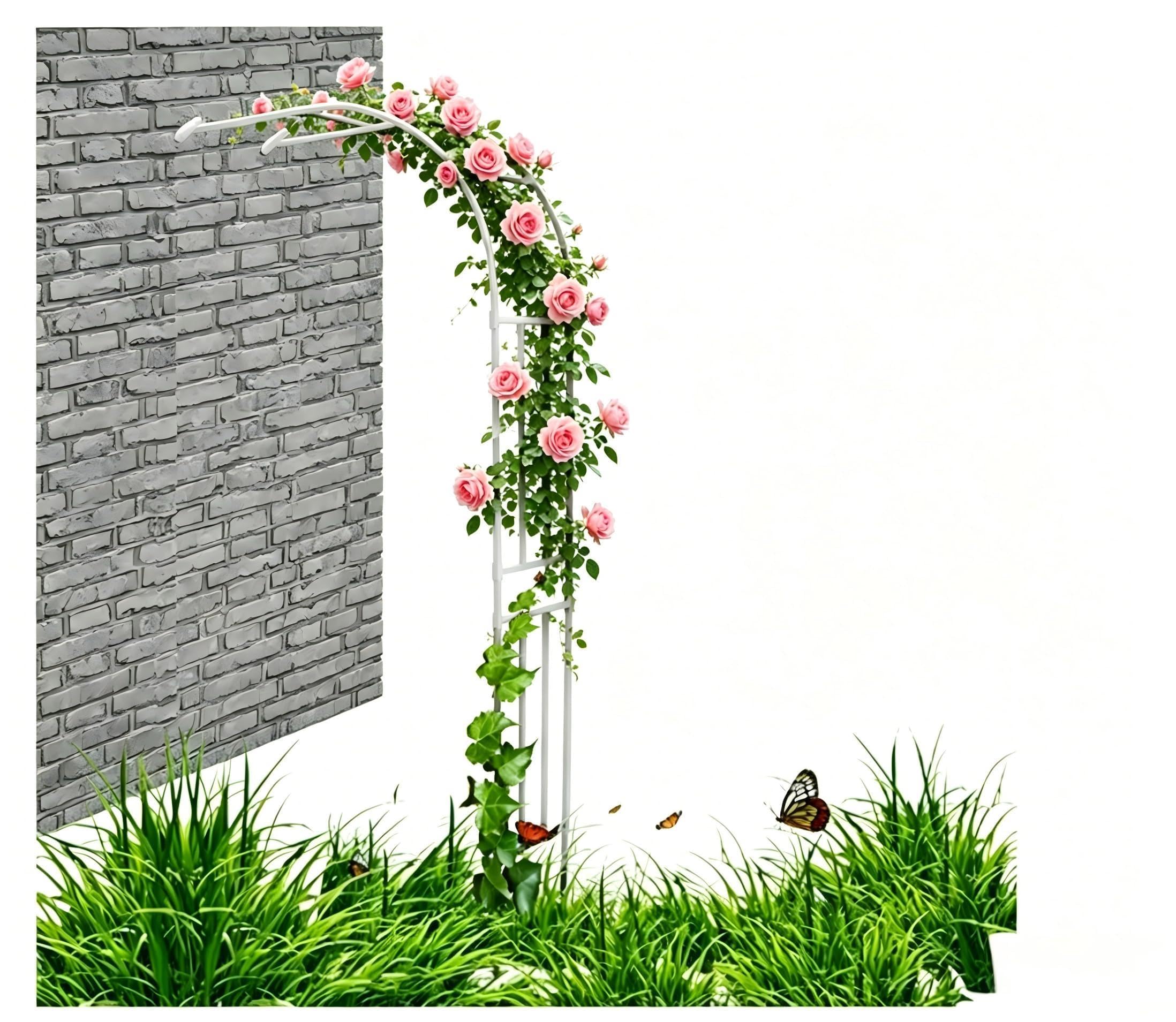 Rosenbogen aus Metall stabil, langlebig & rostfrei, verzinkter Halbbogen, 240cm Höhe, Rankhilfe für Rosen, Efeu und Clematis, für Garten, Balkon und Terrasse (Weiß, 180 * 240cm)