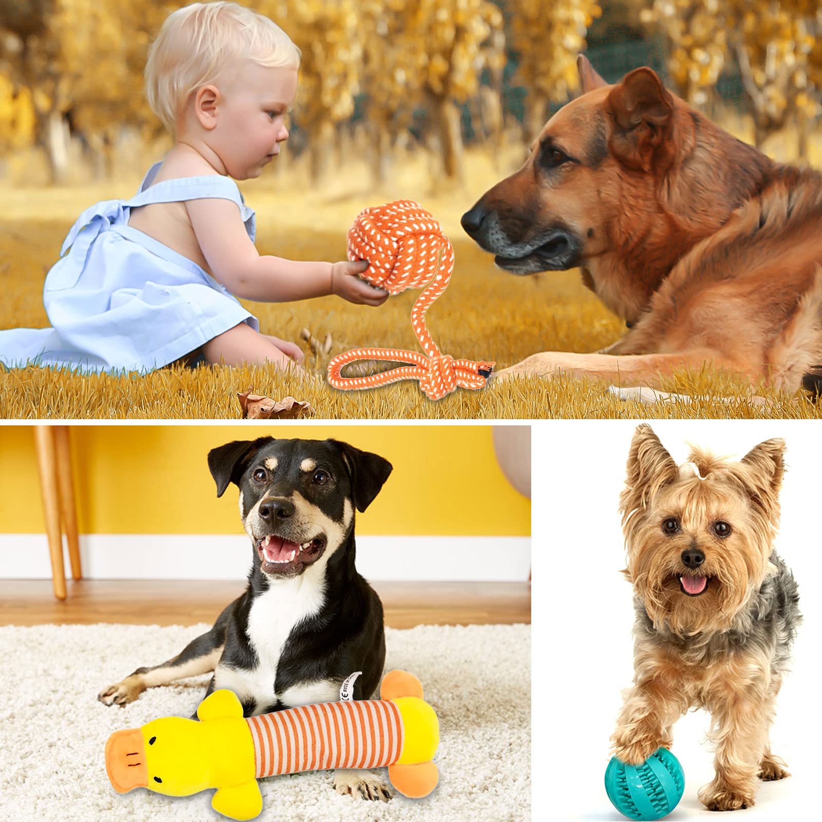 Lot de 20 jouets pour chien - Corde interactive - Balle en corde - Dents robustes - Jouet durable pour chiens de petite et grande taille