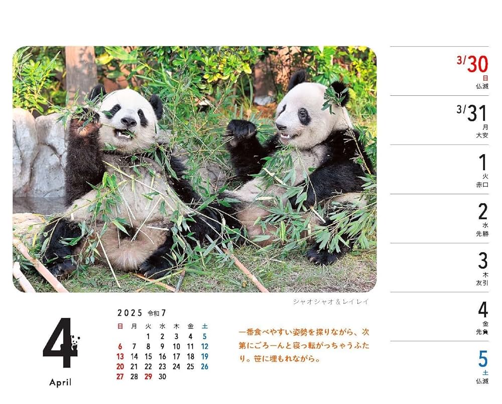 シャンシャン ミニカレンダー クリアファイル 大パンダ展 非売品